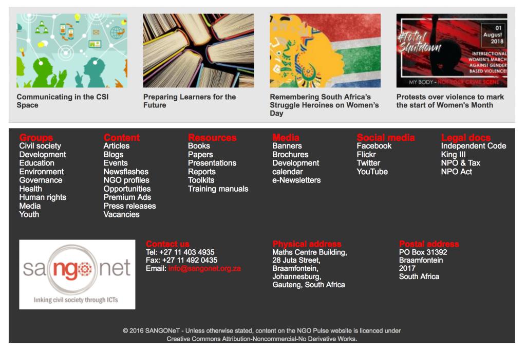 NGO Pulse portal footer